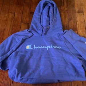 Champion hoodie, Purple with ombré lettering, Small
